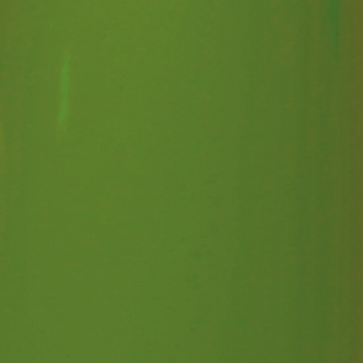RAL 6025